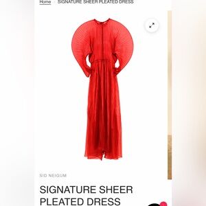 Sid Neigum Signature Sheer Pleated Dress | Size 6